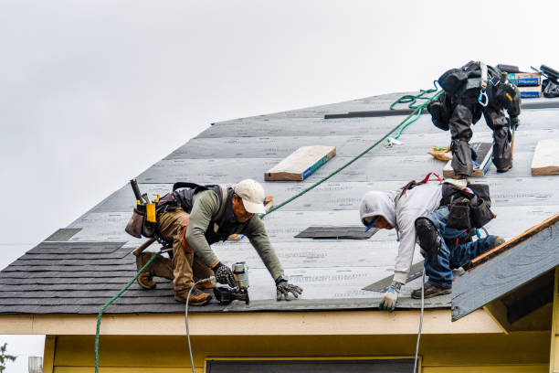 Professional Roofing technician working in Alcove, NY